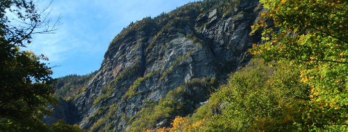 Foliage in Smugglers' Notch Pass